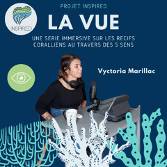 Projet INSPIRED : Episode 1 La Vue