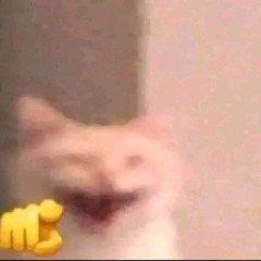 nuclear war is bad for kittens