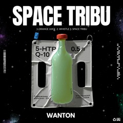 Wanton - Space Tribu [EP SPACE TRIP]