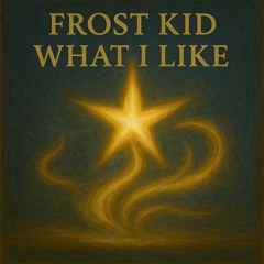 What I Like (Prod. Frost Kid)