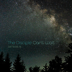 Sermon: "The Disciple Can't Wait" // Genesis 16