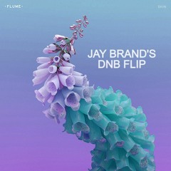 Never Be Like You - Flume (Jay Brand's DnB Flip) [FREE DOWNLOAD]