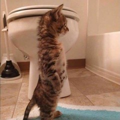 SONGS THAT GO HARD!!!!!