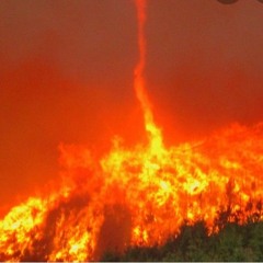 perfect disaster(2)