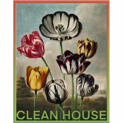 CLEAN HOUSE #63