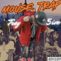 Mouse Trap