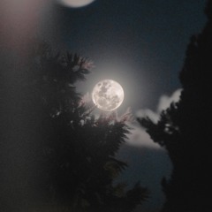 طَلَعَ البَدْرُ عَلَيْنَا