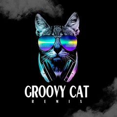 PAWSA - Groovy Cat ( Tanh Wolf REMIX )