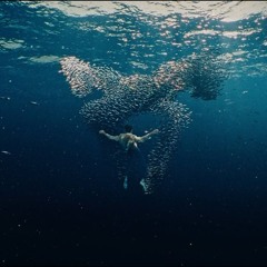 Ralphie Choo & John Talabot – Obsesión (CUPRA FORMENTOR 2024)