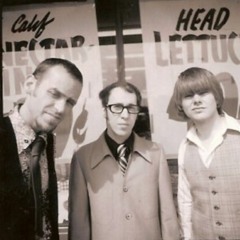 Stanley's Joyful Noise - V (1998 Steve Albini Session - Electrical Audio, Chicago)