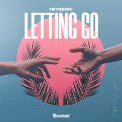 Meynberg - Letting Go