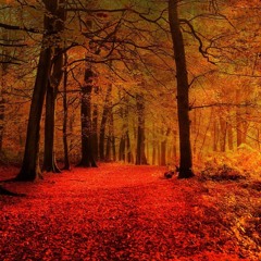 Forever Autumn Remix