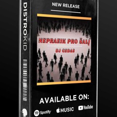 DJ GEDAS - Nepraeik Pro Šalį (Special Version)