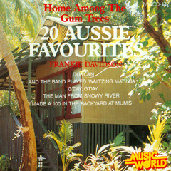Aussie BBQ Song