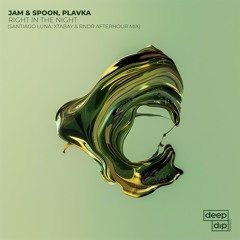 FREE DL: Jam & Spoon, Plavka - Right In The Night (Santiago Luna & Xtabay & RNDR Remix) [OB005]