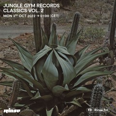 Jungle Gym Records - Classics Vol.2 - 03 Octobre 2022