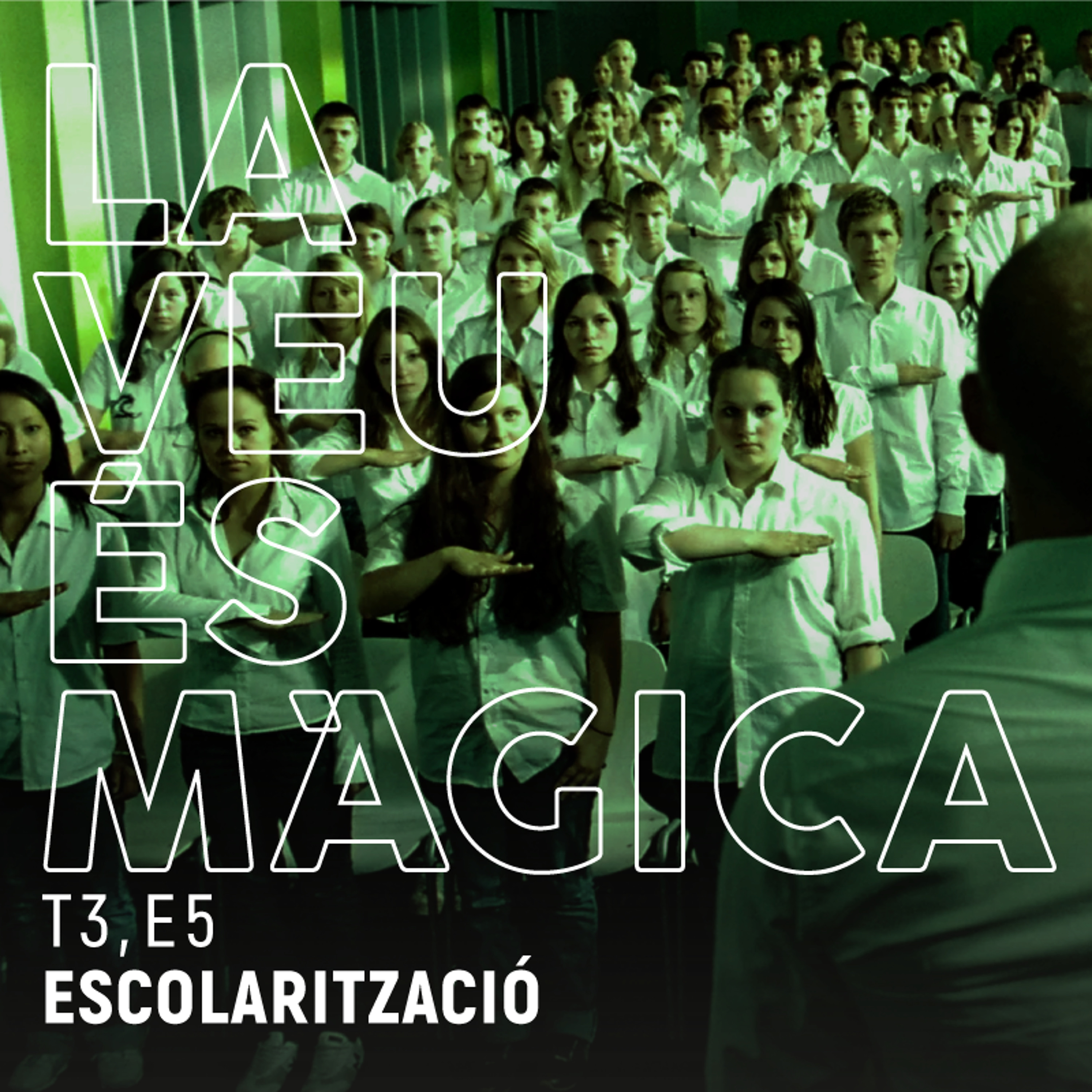 T3_E5_Escolaritzacio episode artwork