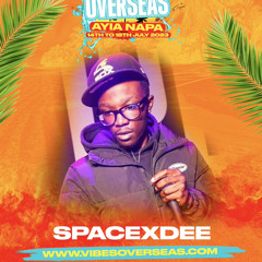 Vibes Overseas Promo Mix | Mixed By @SPACExDEE.mp3