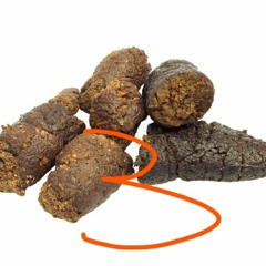 Pooptime 3 (prod.makenobeats)