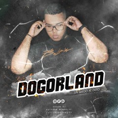DOGORLAND - DOGOR DJ