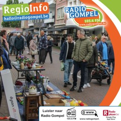 Rommelmarkt Zondag Gemeente Mol