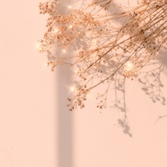 꽃처럼 나무처럼