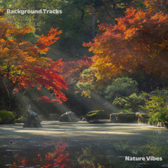 Daytime Nature Background Outdoors