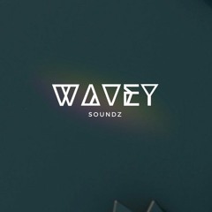 Wavey Soundz - House Mixtape