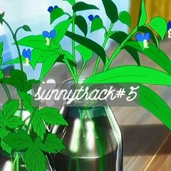 kis - sunnytrack#5