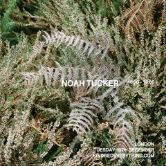 NOAH TUCKER 10.12.24