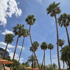 Summer 25 🏜✨️