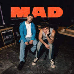 Mike Williams  -Martin Garrix & Lauv - MAD (Grand mashuap)
