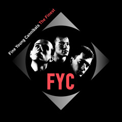 She Drives Me Crazy (Phunk Phenomena Mix)