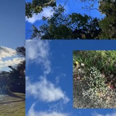 Suffer Little Children (instrumental) - The Smiths