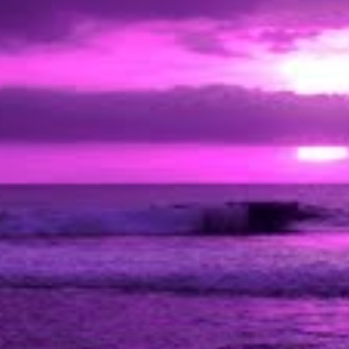 Does She Love You Better Than I Can? (𝒰𝓃𝓇𝑒𝓆𝓊𝒾𝓉𝑒𝒹 𝐿𝑜𝓋𝑒 𝒾𝓃 𝑀𝓎 𝑅𝑜𝑜𝓂 𝑒𝒹𝒾𝓉)