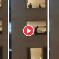 New** Jaipur Hotel Viral Video | Jaipur Couple Viral Video in 5 star Hotel Holiday Inn Original a2z jankari com viral video