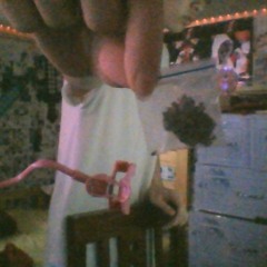 CYPHER DIT NHAU - Lil Chezze ft. XANTALY, yungbinh