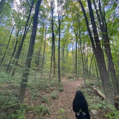 dothem 3.mp3 prod by grimskys!