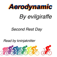 3.5 (Second Rest Day) Aerodynamic