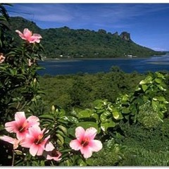 Dake Lemehda Dake Wiaki - Mwar