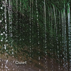Vincent Kafer - Quiet