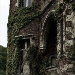 Shayad Behesht