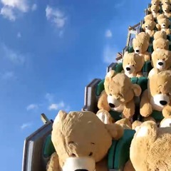 TEDDYEXPERIENCE