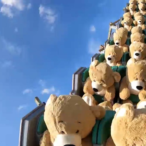TEDDYEXPERIENCE