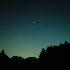 Log_20230617（demo）