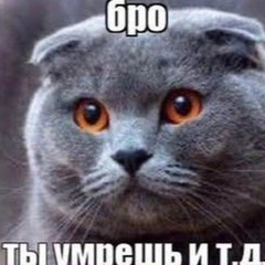 loliwz нюхать влюбляться