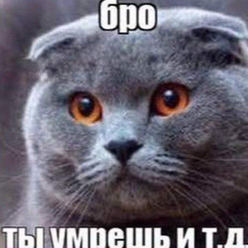 loliwz нюхать влюбляться