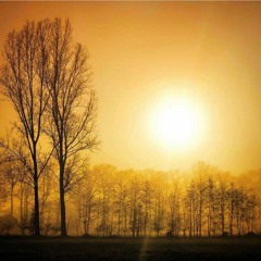 RNB Samples [2k20] (prod quaverr)