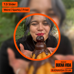 T.D Slider - Radio Buena Vida 24.10.25