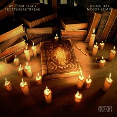 William Black, Prettyheartbreak - Dying Day (NOTOK Remix)